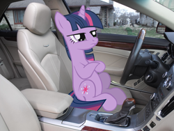 Size: 3648x2736 | Tagged: safe, artist:the-intimidator, imported from derpibooru, twilight sparkle, car, car interior, irl, photo, ponies in real life