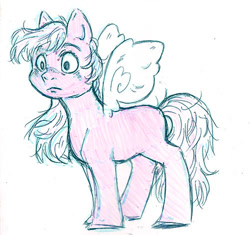 Size: 500x470 | Tagged: safe, artist:gezibing, imported from derpibooru, oc, flutter pony, g1, sketch