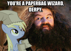 Size: 498x359 | Tagged: safe, imported from derpibooru, derpy hooves, pegasus, pony, all caps, duo, female, harry potter, harry potter (series), image macro, impact font, mare, meme, paper bag, paper bag wizard, photo, rubeus hagrid