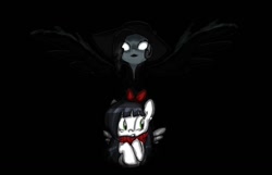Size: 1090x700 | Tagged: safe, artist:carnifex, imported from derpibooru, oc, oc only, oc:stripey butts, black background, bow, clothes, creepy, duo, hair bow, scared, scarf, simple background, spread wings