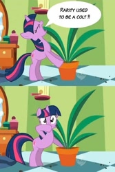 Size: 401x600 | Tagged: safe, edit, edited screencap, imported from derpibooru, screencap, rarity, twilight sparkle, pony, green isn't your color, comic, exploitable meme, female, forced meme, implied transgender, meme, plant, potted plant, screencap comic, secret pot meme, solo, speech bubble