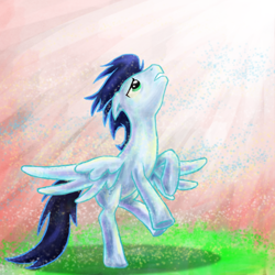 Size: 600x600 | Tagged: safe, artist:xx-mr-no-name-xx, imported from derpibooru, soarin', pegasus, pony, looking up, male, solo, stallion