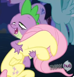 Size: 340x354 | Tagged: safe, imported from derpibooru, screencap, fluttershy, sea swirl, seafoam, spike, spring melody, sprinkle medley, magic duel, hug, out of context