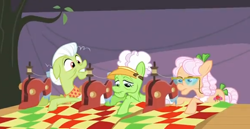 Size: 588x304 | Tagged: safe, imported from derpibooru, screencap, apple rose, auntie applesauce, granny smith, apple family reunion