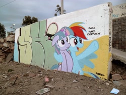 Size: 4320x3240 | Tagged: safe, artist:shinodage, imported from derpibooru, rainbow dash, twilight sparkle, graffiti, meme, racial slur, vulgar, x x everywhere