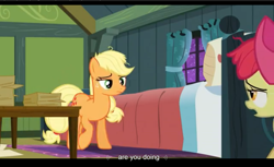 Size: 1680x1028 | Tagged: safe, imported from derpibooru, screencap, apple bloom, applejack, apple family reunion, youtube caption