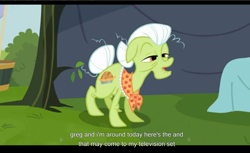 Size: 1680x1028 | Tagged: safe, imported from derpibooru, screencap, granny smith, apple family reunion, youtube caption