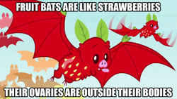 Size: 1280x721 | Tagged: safe, imported from derpibooru, fruit bat, apple family reunion, image macro