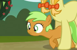 Size: 472x312 | Tagged: safe, imported from derpibooru, screencap, apple crumble, jonagold, marmalade jalapeno popette, earth pony, pony, apple family reunion, apple family member, filly