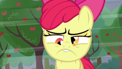 Size: 1280x720 | Tagged: safe, imported from derpibooru, screencap, apple bloom, apple family reunion, bucktooth, derp