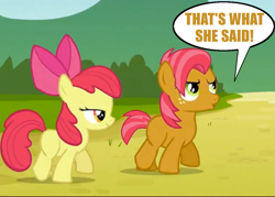 Size: 1133x809 | Tagged: safe, imported from derpibooru, apple bloom, babs seed, that's what she said, twss