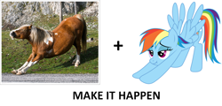 Size: 1100x526 | Tagged: safe, imported from derpibooru, rainbow dash, exploitable meme, irl, iwtcird, make it happen, meme, meta, real pony, scrunchy face, stretching