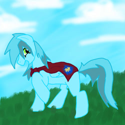 Size: 894x894 | Tagged: safe, artist:nekolyz, imported from derpibooru, oc, oc only, pegasus, pony, cape, clothes