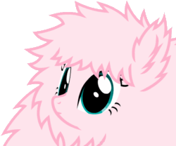 Size: 516x429 | Tagged: safe, imported from derpibooru, oc, oc only, oc:fluffle puff, tumblr:ask fluffle puff, animated