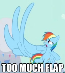 Size: 500x561 | Tagged: safe, edit, edited screencap, imported from derpibooru, screencap, rainbow dash, magic duel, giant wing, image macro