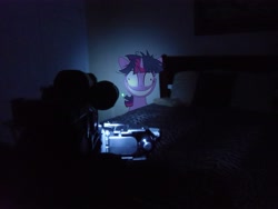 Size: 4320x3240 | Tagged: safe, artist:emedina13, imported from derpibooru, night light, twilight sparkle, camera, computer, irl, photo, ponies in real life, twilight snapple, vector