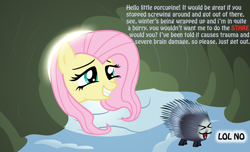 Size: 1159x703 | Tagged: safe, artist:ohthatandy, imported from derpibooru, fluttershy, pegasus, pony, porcupine, winter wrap up, grin, lol no, smiling, squee