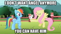 Size: 625x351 | Tagged: safe, imported from derpibooru, angel bunny, fluttershy, rainbow dash, image macro