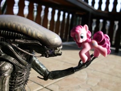 Size: 2048x1536 | Tagged: safe, artist:jazzy90, imported from derpibooru, pinkie pie, xenomorph, alien (franchise), irl, photo, toy