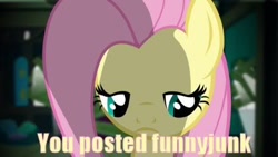 Size: 422x238 | Tagged: safe, imported from derpibooru, fluttershy, funnyjunk, image macro