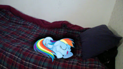 Size: 1024x576 | Tagged: safe, artist:xloginmanx2000, imported from derpibooru, rainbow dash, bed, irl, photo, ponies in real life, sleeping