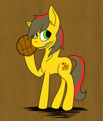 Size: 904x1054 | Tagged: safe, artist:cardigan-poni, imported from derpibooru, oc, oc only, valpony