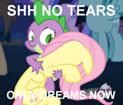 Size: 548x467 | Tagged: safe, imported from derpibooru, fluttershy, spike, female, flutterspike, image macro, jimmies, male, shipping, straight