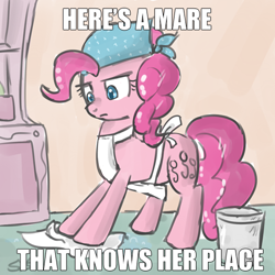 Size: 500x500 | Tagged: safe, artist:speccysy, edit, imported from derpibooru, pinkie pie, pony, background pony strikes again, bucket, caption, cleaning, don't take it seriously, drama, female, image macro, misogyny, obvious joke, poe's law, sexism, solo