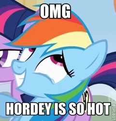 Size: 348x362 | Tagged: safe, imported from derpibooru, rainbow dash, hordey, image macro