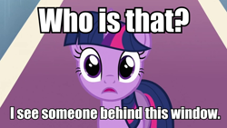 Size: 960x540 | Tagged: safe, imported from derpibooru, twilight sparkle, fourth wall, image macro, stare