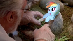 Size: 800x450 | Tagged: safe, artist:capdoodlemcphotoshop, imported from derpibooru, rainbow dash, adoption, cute, dashabetes, egg, hatching, john hammond, jurassic park, parody