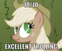 Size: 600x500 | Tagged: safe, imported from derpibooru, applejack, image macro, liar face, liarjack, reaction image, solo, troll, trolling