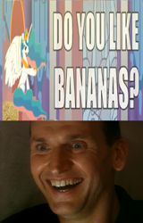 Size: 549x860 | Tagged: safe, imported from derpibooru, princess celestia, alicorn, human, pony, banana, do you like bananas?, doctor who, female, friendship is magic bitch, irl, mare, megaphone, ninth doctor, out of context, photo