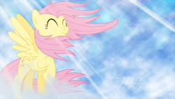 Size: 1920x1080 | Tagged: safe, artist:leonbrony, imported from derpibooru, fluttershy, cloud, cloudy, text, vector, wallpaper, windswept mane