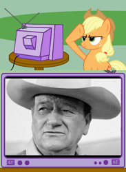 Size: 438x600 | Tagged: safe, imported from derpibooru, applejack, pony, exploitable meme, john wayne, meme, photo, rainbow dash salutes, salute, tv meme