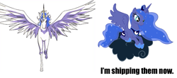 Size: 1091x481 | Tagged: safe, imported from derpibooru, princess luna, sleepless in ponyville, caption, helios, lulios, sailor moon, shipping