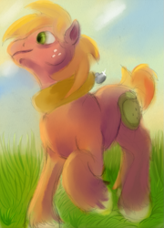 Size: 719x1000 | Tagged: safe, artist:sb, imported from derpibooru, big macintosh, earth pony, pony, grass, male, solo, stallion