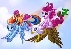 Size: 884x603 | Tagged: safe, artist:shinepawpony, imported from derpibooru, gilda, gummy, pinkie pie, rainbow dash, scootaloo, earth pony, griffon, pegasus, pony, biting, female, filly, flying, mare, pinkie pie riding gilda, ponies riding griffons, ponies riding ponies, riding, scootaloo riding rainbow dash, tail bite, trail