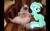 Size: 1440x900 | Tagged: safe, imported from derpibooru, lyra heartstrings, cat, pony, unicorn, female, irl, mare, meme, photo, sitting lyra