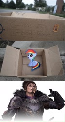 Size: 829x1543 | Tagged: safe, imported from derpibooru, rainbow dash, pegasus, pony, fanfic:my little dashie, dashie meme, evil people finding dash meme, exploitable meme, female, filly, male, meme, nobunaga oda, obligatory pony, samurai warriors