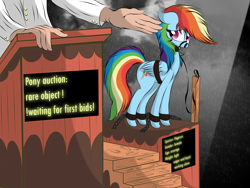 Size: 3072x2304 | Tagged: safe, artist:v-d-k, imported from derpibooru, rainbow dash, human, pegasus, pony, auction, bondage, bound wings, collar, crying, dashabuse, female, floppy ears, gag, high res, leash, living object, mare, muzzle gag, sad, shackles, slave, slave auction, slavery, spotlight, story in the comments