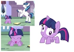 Size: 1104x779 | Tagged: safe, edit, edited screencap, imported from derpibooru, screencap, shining armor, twilight sparkle, crab pony, pony, unicorn, a canterlot wedding, season 2, b.b.b.f.f., male, meme origin, rearing, spider sparkle, stallion, twilight crab