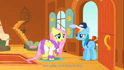 Size: 1366x768 | Tagged: safe, edit, edited screencap, imported from derpibooru, screencap, fluttershy, rainbow dash, pegasus, pony, hurricane fluttershy, season 2, coach rainbow dash, door, female, iraq, mare, wet mane, youtube caption, youtube link