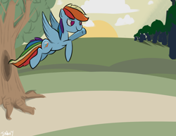 Size: 3850x2975 | Tagged: safe, artist:jordan, imported from derpibooru, rainbow dash, pegasus, pony, everfree forest, female, flying, high res, mare, no pupils, solo, sunrise, sunset, tree