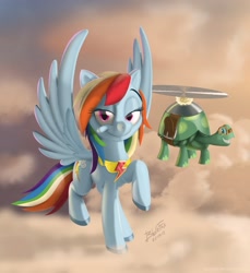 Size: 1921x2094 | Tagged: safe, artist:tavogdl, imported from derpibooru, rainbow dash, tank, pegasus, pony, cloud, duo, element of loyalty, female, mare, pet, raised hoof