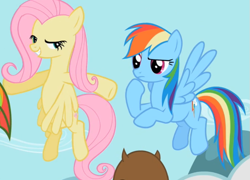 Size: 703x505 | Tagged: safe, imported from derpibooru, screencap, fluttershy, rainbow dash, pegasus, pony, may the best pet win, season 2, duo, female, flying, lidded eyes, mare, out of context