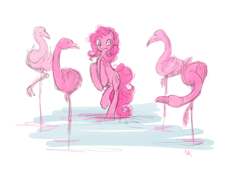 Size: 850x605 | Tagged: safe, artist:noel, imported from derpibooru, pinkie pie, bird, earth pony, flamingo, pony, behaving like a flamingo, female, mare, one of these things is not like the others, rearing, water