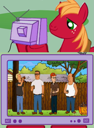 Size: 563x771 | Tagged: safe, imported from derpibooru, big macintosh, earth pony, pony, exploitable meme, king of the hill, male, meme, stallion, tv meme