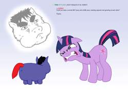 Size: 842x624 | Tagged: safe, artist:jacob v, imported from derpibooru, twilight sparkle, fluffy pony, pony, unicorn, angry, anus, ears back, female, floppy ears, mare, nudity, simplistic anus, this will end in tears