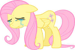 Size: 3159x2123 | Tagged: safe, artist:kurokaji11, imported from derpibooru, fluttershy, pegasus, pony, crying, female, floppy ears, high res, mare, sad, simple background, solo, transparent background, vector